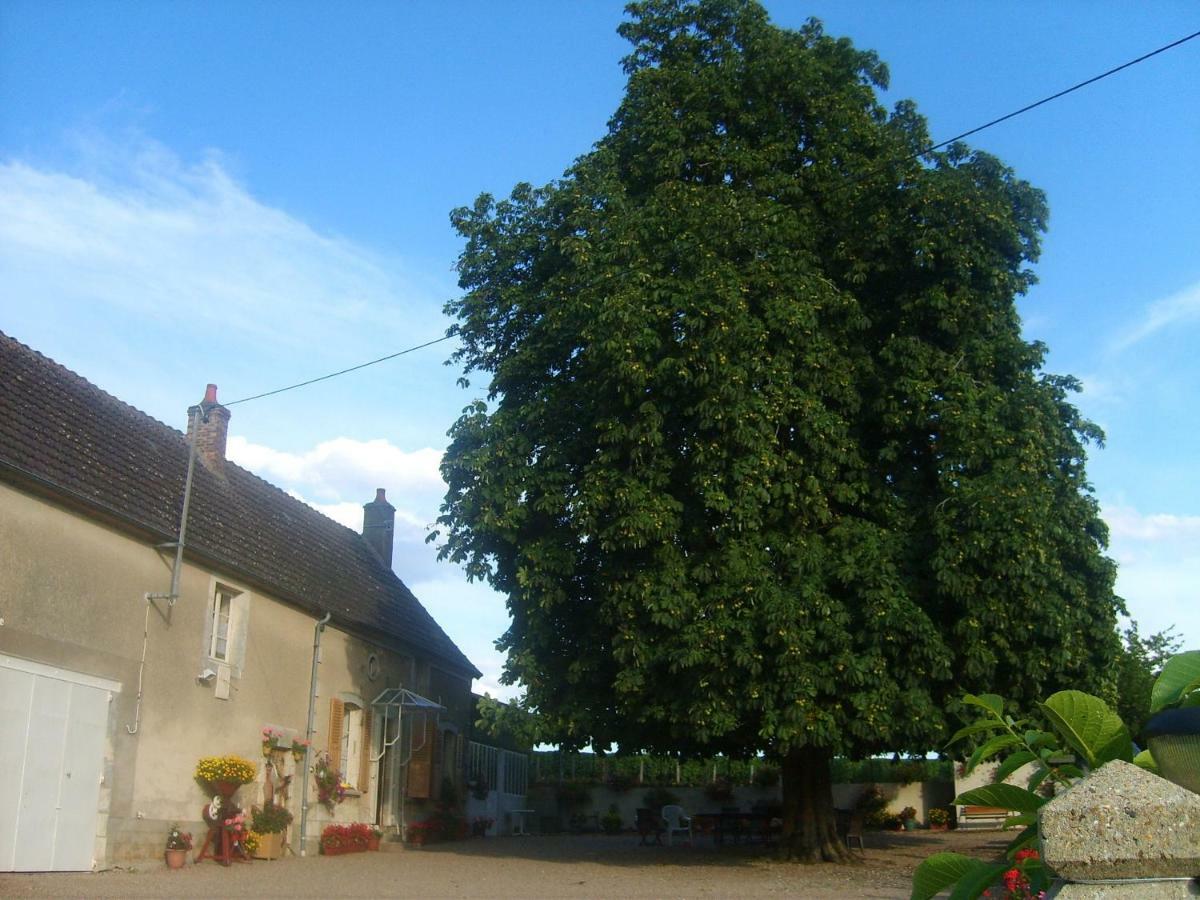 Armalou Bed & Breakfast ปูญี-ซูร์-ลัวร์ ภายนอก รูปภาพ